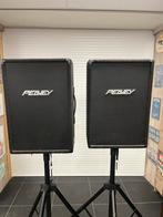 Vintage zang-geluid boxen/speakers Peavy, Ophalen, Gebruikt