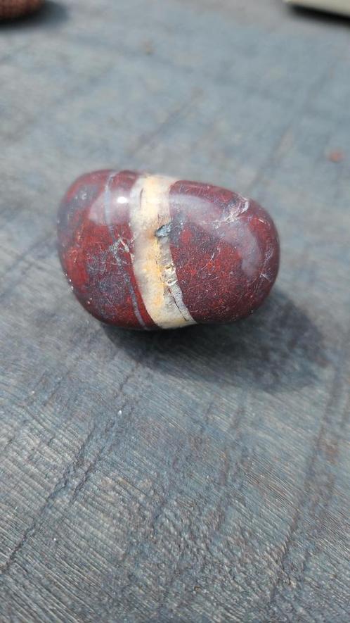 Versteend hout Madagaskar basis chakra, Verzamelen, Mineralen en Fossielen, Mineraal, Ophalen of Verzenden
