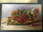 Gezocht: Fruitkaart Mij. de Betuwe ( zie foto's), Verzenden, Zo goed als nieuw, Overige typen