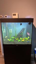 Juwel lido 200, Dieren en Toebehoren, Vissen | Aquaria en Toebehoren, Ophalen of Verzenden, Zo goed als nieuw, Leeg aquarium