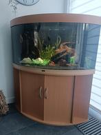 Juwel Hoek Aquarium  (zonder discussen), Dieren en Toebehoren, Vissen | Aquaria en Toebehoren, Ophalen, Zo goed als nieuw, Gevuld zoetwateraquarium
