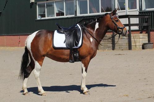 Sella Rosa 17 inch, Dieren en Toebehoren, Paarden en Pony's | Zadels, Zo goed als nieuw, Dressuur, Ophalen of Verzenden