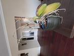Prachtige grote bloempot incl grote orchidee tekoop., Ophalen, Rond, Aardewerk, Minder dan 40 cm