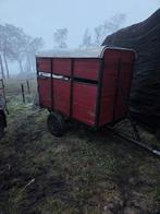 Kleinvee karretje, Vrouwelijk, Schaap