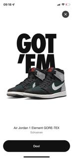 Nieuwe Nike Air Jordan 1 Element Gore - Tex, maat 40., Kleding | Heren, Overige kleuren, Nieuw, Ophalen of Verzenden, Sneakers of Gympen