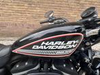 Harley Davidson sportster 883, 2 cilinders, Sportuitlaat, Chopper, 883 cc