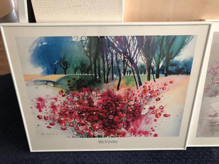 5x illustratie in lijst o.a.Thomas Leung en Mike Fitzpatrick, Huis en Inrichting, Woonaccessoires | Schilderijen, Tekeningen en Foto's