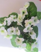 KAAPS VIOOLTJE - KUNST IN POTJE - WIT - PAARS, Ophalen of Verzenden