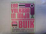 Een vulkaan in mijn buik: omgaan met boosheid en woede, Nieuw, Warwick Pudney, Beta, HBO
