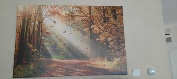 4. canvas doek beschikbaar voor biedingen