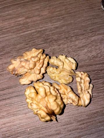 HEERLIJKE GEPELDE WALNOTEN BETUWE beschikbaar voor biedingen