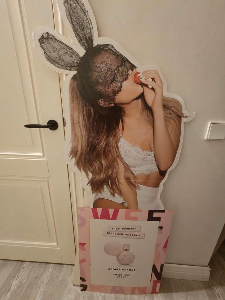 1x zeldzame cutout lifesize bord Ariana Grande, Verzamelen, Muziek, Artiesten en Beroemdheden, Zo goed als nieuw, Poster, Artwork of Schilderij