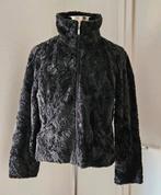 Nieuw jasje Pescara XL, Ophalen of Verzenden, Zo goed als nieuw