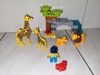 Duplo dieren leeuwen giraffen, Gebruikt, Ophalen of Verzenden, Duplo, Duplo