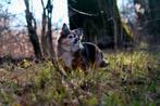 Hobby fotograaf!, Ophalen of Verzenden, Nieuw