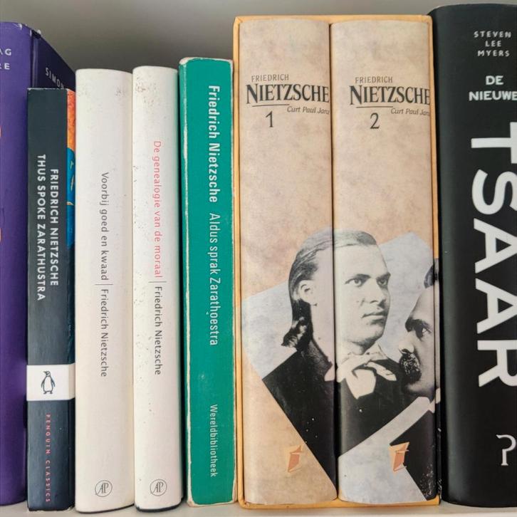 Friedrich Nietzsche 6 boeken, Boeken, Filosofie, Zo goed als nieuw, Ophalen of Verzenden
