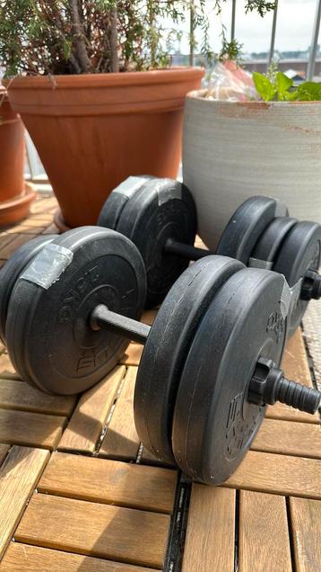 Weights 2x10kg beschikbaar voor biedingen