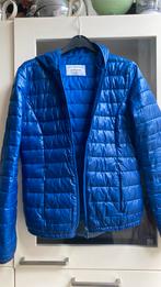 TERRANOVA royalblue nylon mid-season jasje mt S, Kleding | Dames, Blauw, Ophalen of Verzenden, Zo goed als nieuw, Maat 36 (S)