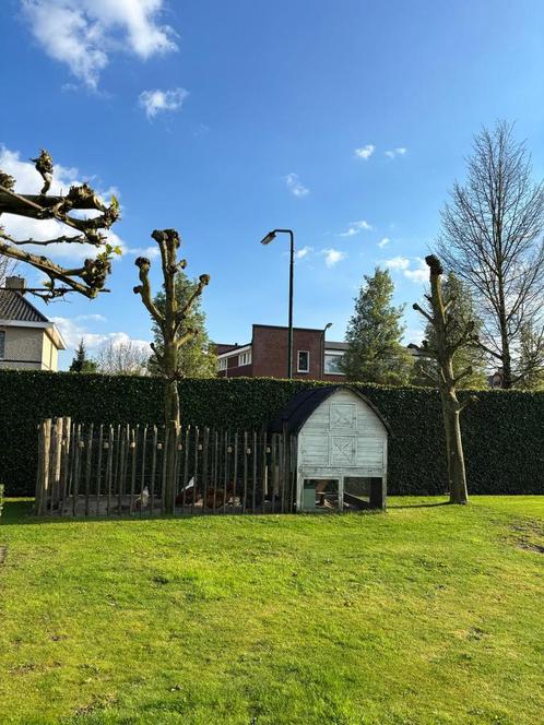 Kippenhok, kippenvilla, kippenren, inclusief kippen, Dieren en Toebehoren, Pluimvee | Toebehoren, Gebruikt, Kippenhok of Kippenren
