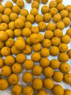 Sweet caramel boilies, Ophalen of Verzenden, Nieuw, Overige typen