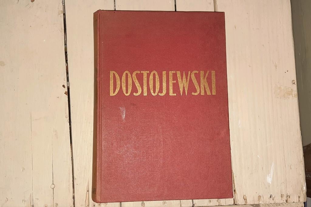 Boek Dostojewski., Boeken, Ophalen of Verzenden