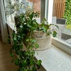 Bloempotten jute mand, 25 tot 40 cm, Overige materialen, Rond, Binnen