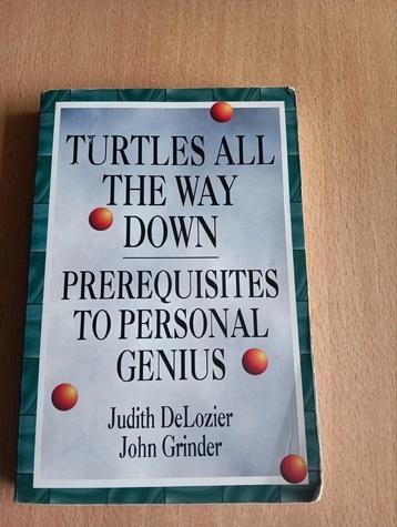 Turtles All the Way Down - John Grindler (vaste prijs) beschikbaar voor biedingen