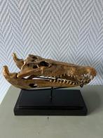 Bronzen krokodillen schedel op standaard, Antiek en Kunst, Ophalen of Verzenden
