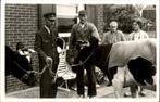 Stolwijk - Fotokaart - Koe - Postbode PTT, Ophalen of Verzenden, 1940 tot 1960, Ongelopen, Zuid-Holland