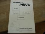 Ensemble Pirvu - Panfluit, Cymbaal, Akkordeon, Contrabas, Ophalen of Verzenden, Gebruikt, Overige soorten, Accordeon