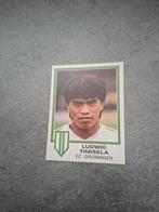 Panini sticker Voetbal 81. Ludwig Timisela FC Groningen., Verzenden, Zo goed als nieuw, Sticker