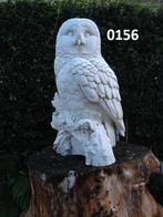 Verschillende Uilen / Steenuil / vogels, Ophalen, Nieuw, Beton, Dierenbeeld