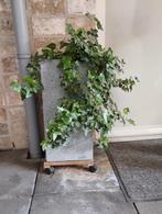2 x Kunststof  plantenbak(zuil) 60h x 28b(prijs voor set), Ophalen, Kunststof, Vierkant, Zo goed als nieuw