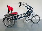 Van Raam Fun2Go duofiets, nieuwe accu, 2x 8 versn. garantie!, Fietsen en Brommers, Fietsen | Driewielfietsen, Ophalen of Verzenden