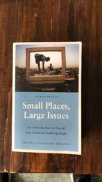 Small Places, Large Issues by Thomas Hylland Eriksen, Ophalen of Verzenden, Zo goed als nieuw