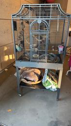 Vogel kooi met toebehoren, Ophalen of Verzenden, Zo goed als nieuw, Metaal, Vogelkooi
