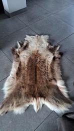 Vacht rendier huid uit noorwegen, Ophalen of Verzenden, Zo goed als nieuw