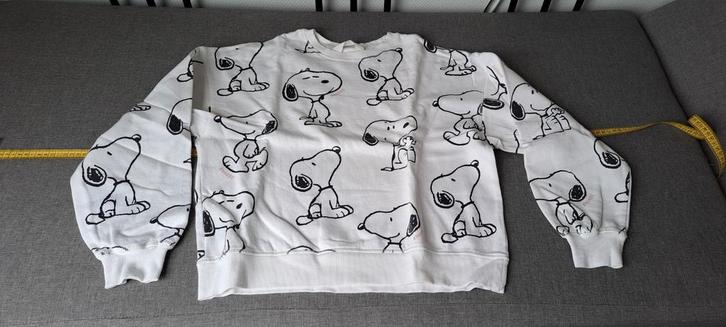 Snoopy Sweater Meisjes Maat 170, Kinderen en Baby's, Kinderkleding | Maat 170, Zo goed als nieuw, Meisje, Trui of Vest, Ophalen of Verzenden
