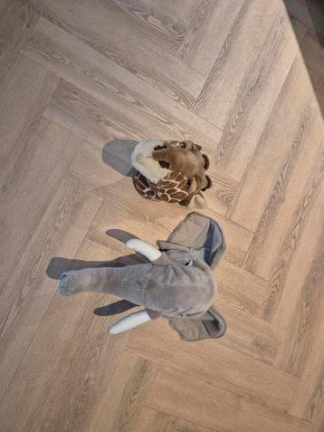 Dierenkoppen van Loods 5 beschikbaar voor biedingen
