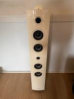 Thomson DS401 Bluetooth Speaker - 45W RMS, Overige merken, Gebruikt, Overige typen, Ophalen of Verzenden