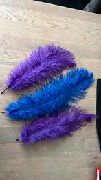 Pieten veren voor op barret, Ophalen of Verzenden, Nieuw