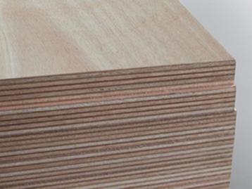 Bruynzeel Hechthout A/B - 250 x 122 cm, 6/10/12 mm beschikbaar voor biedingen