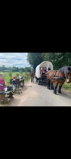 Huifkar, plattekar, menwagen, Ophalen, Zo goed als nieuw, Overige soorten