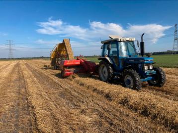 Kleine pakjes hooi in bundels met analyse beschikbaar voor biedingen