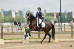 7 jarige Z geklasseerde merrie, Dieren en Toebehoren, Paarden, Merrie, Z, Gechipt, Dressuurpaard