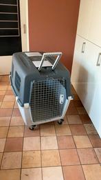 Honden transportbox, Ophalen, Zo goed als nieuw