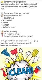 Schoonmaakster, Schoonmaken