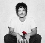 Bruno Mars concert Platinum zitplaats, Tickets en Kaartjes, Eén persoon, Juli