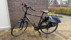 Pegasus Siena Elektrische herenfiets., Fietsen en Brommers, Elektrische fietsen, Gebruikt, 50 km per accu of meer, 55 tot 59 cm