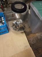 Biorp aquarium 60 liter, Dieren en Toebehoren, Vissen | Aquaria en Toebehoren, Ophalen of Verzenden, Leeg aquarium